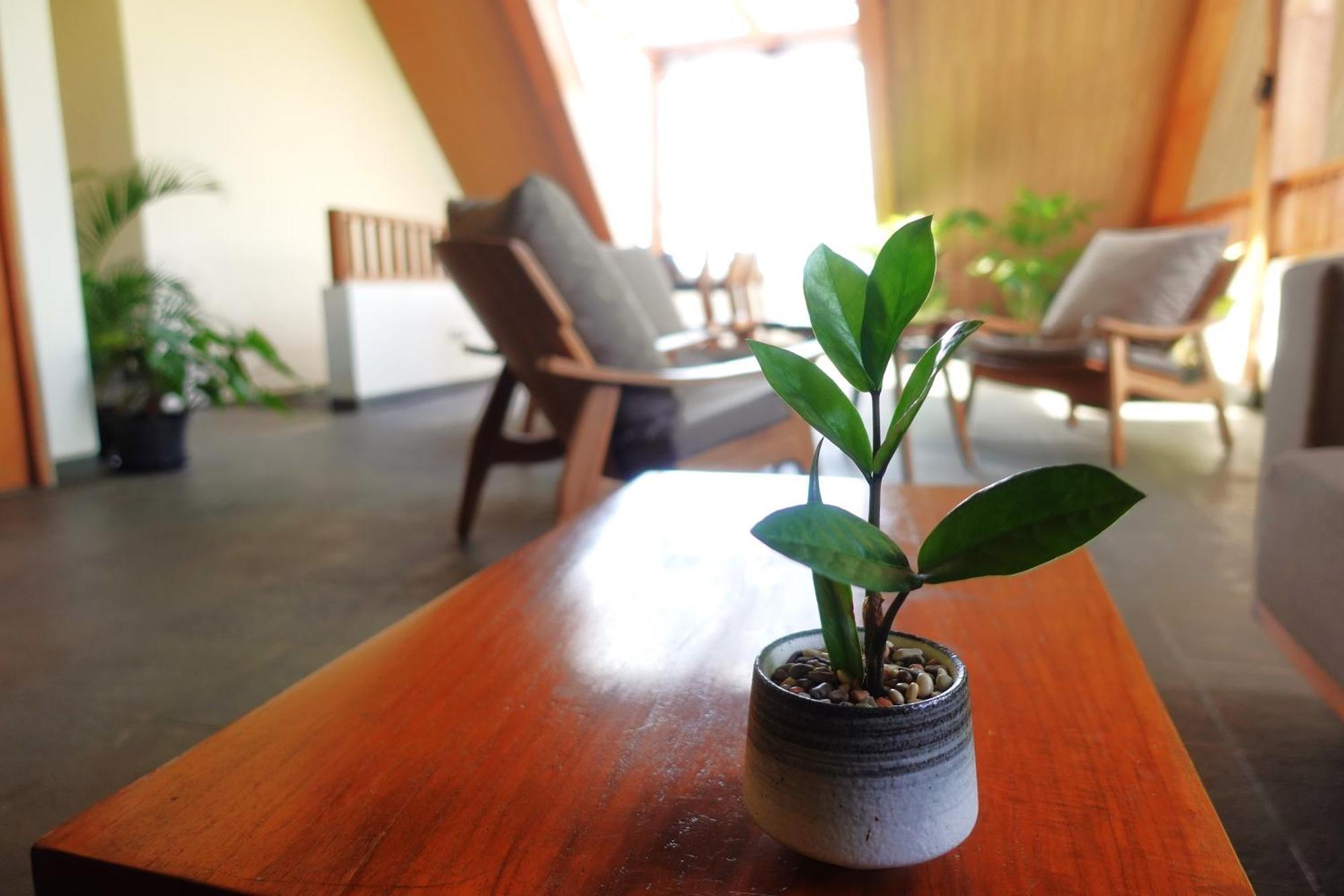 The Vinaya Boutique Hotel 우붓 외부 사진